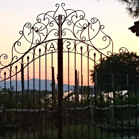 Holiday home Domus Aurea, Tra Mare E Ulivi *